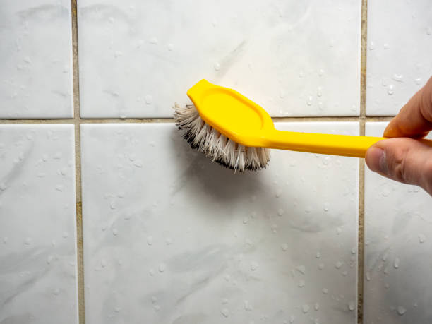 Best Mold Damage Repair  in Sapulpa, OK