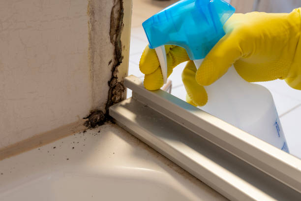Best Residential Mold Removal  in Sapulpa, OK