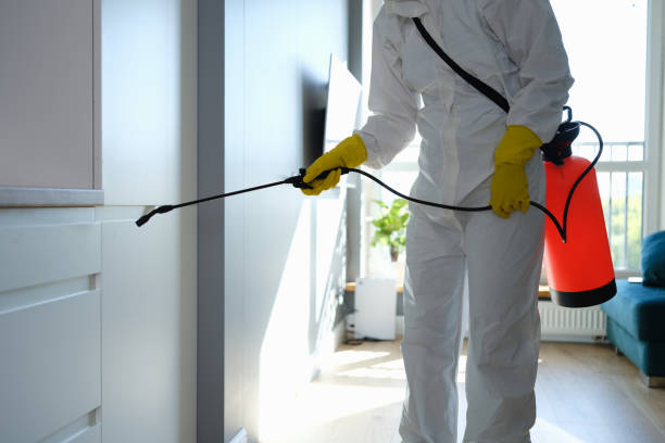 Mold Removal Process in Sapulpa, OK