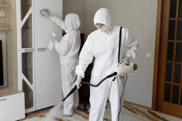 Best Certified Mold Removal  in Sapulpa, OK