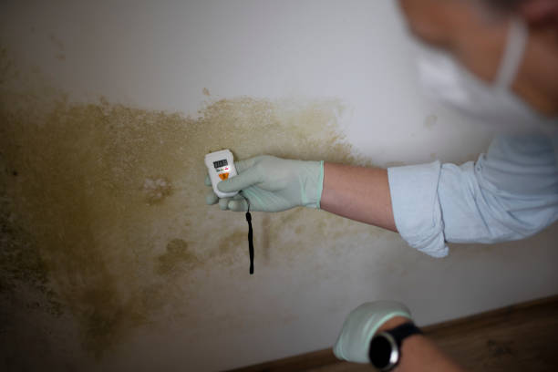 Best Office Mold Removal Services  in Sapulpa, OK