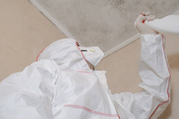 Best Mold Remediation  in Sapulpa, OK