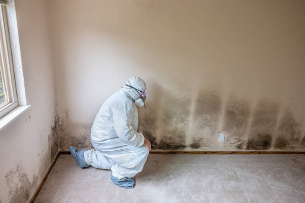 Sapulpa, OK Mold Removal Company