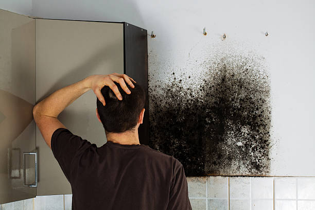 Best Crawl Space Mold Removal  in Sapulpa, OK