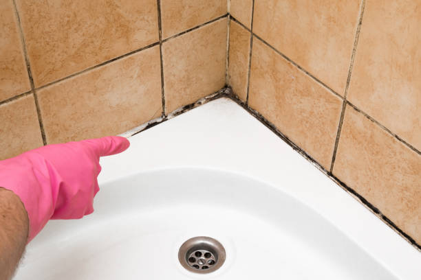 Best Toxic Mold Removal  in Sapulpa, OK